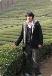 Boseong Green Tea Farm