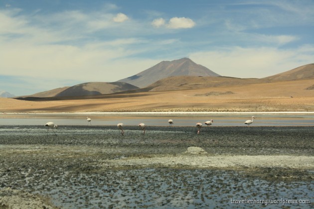 The Seventh Day in Uyuni, Bolivia 138